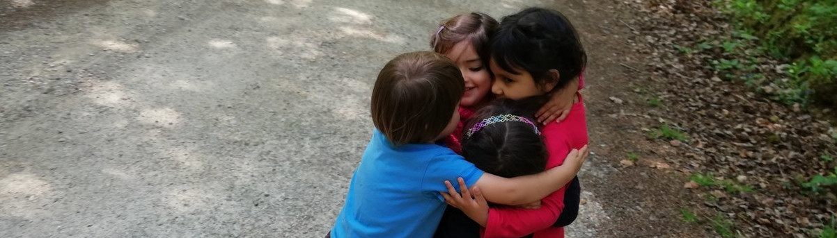 Miembros de la Asociación Viejo Roble en el bosque de Ucieda
